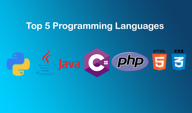 Top 5 Programming Languages to Learn in 2024